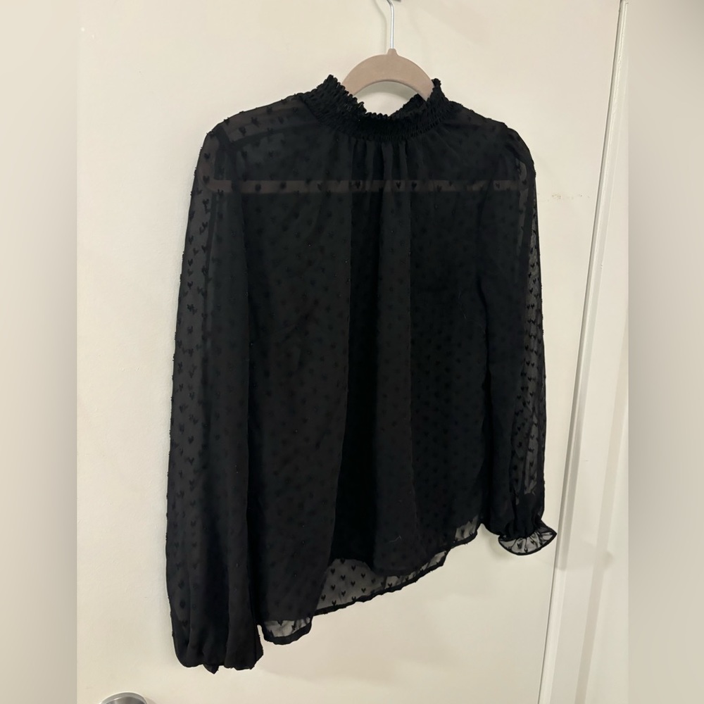 H&M sheer blouse (size small)